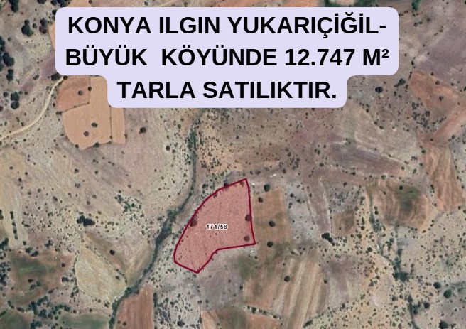 KONYA ILGIN YUKARIÇİĞİL-BÜYÜK  KÖYÜNDE 12.747 M² TARLA SATILIKTIR. - KONYA ILGIN fotoğraf 4